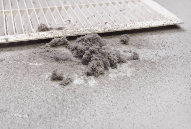 Best Affordable HVAC Duct Cleaning  in West Dundee, IL
