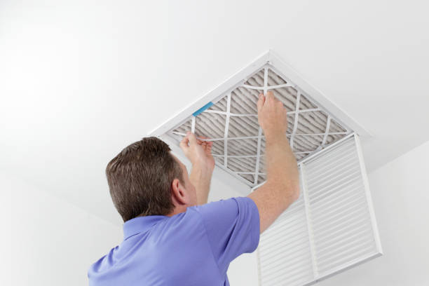 Best HVAC Maintenance and Cleaning  in West Dundee, IL